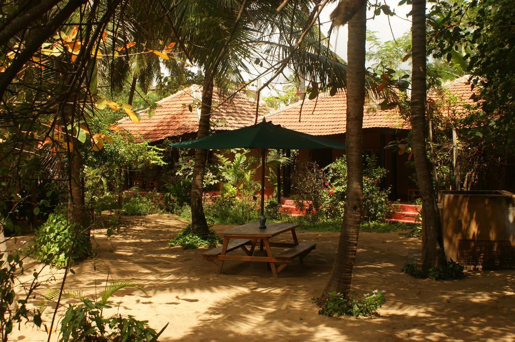 Arugam Bay Ocean Beach Hotel Rum bild